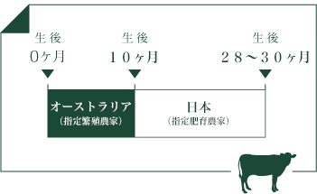 黒毛和牛 国産牛 スギモトグループ 杉本食肉産業株式会社 黒毛和牛 国産牛 スギモトグループ 杉本食肉産業株式会社